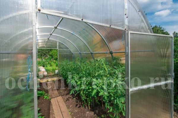 Теплица Счастье Садовода 3м фото 9