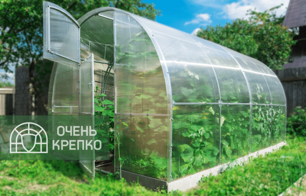 Теплица Звезда 2,5м фото 8