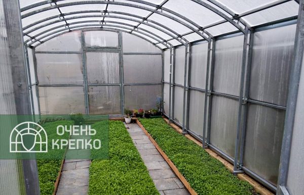 Теплица Гриб 3м фото 2