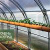 Теплица Усиленная Титан 3м фото 10
