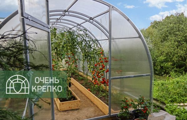 Теплица Усиленная Титан 3м фото 5