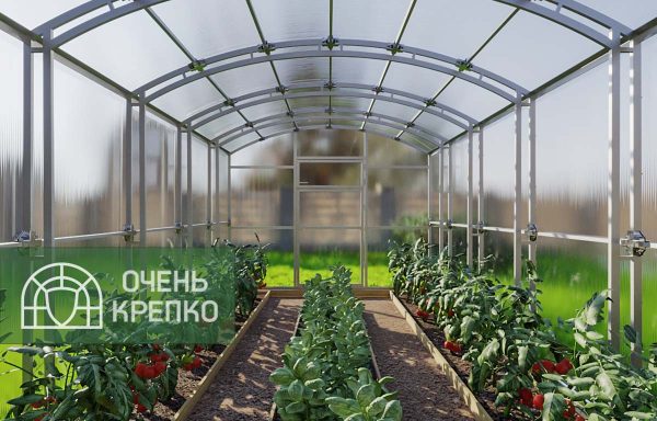 Теплица "Сказка" 3м внутри