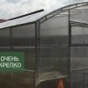 Теплица Пристенная 3м Люкс фото 2
