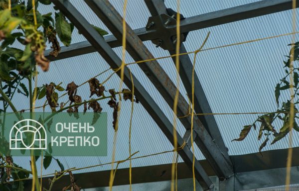 Теплица Миттлайдер 3м Люкс фото 3